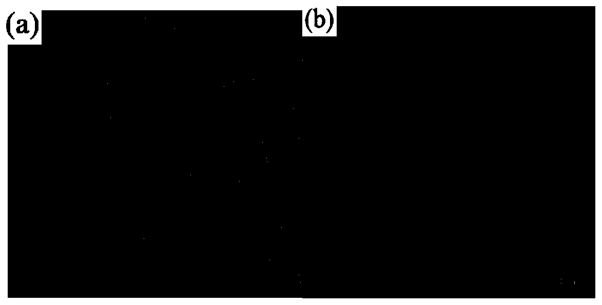 Multifunctional liposome based on hydrogen peroxide response and preparation method and application thereof