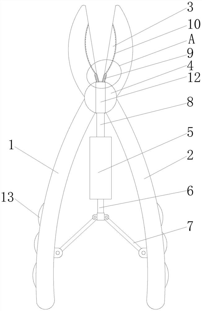 Mutton sheep tail cutting pliers