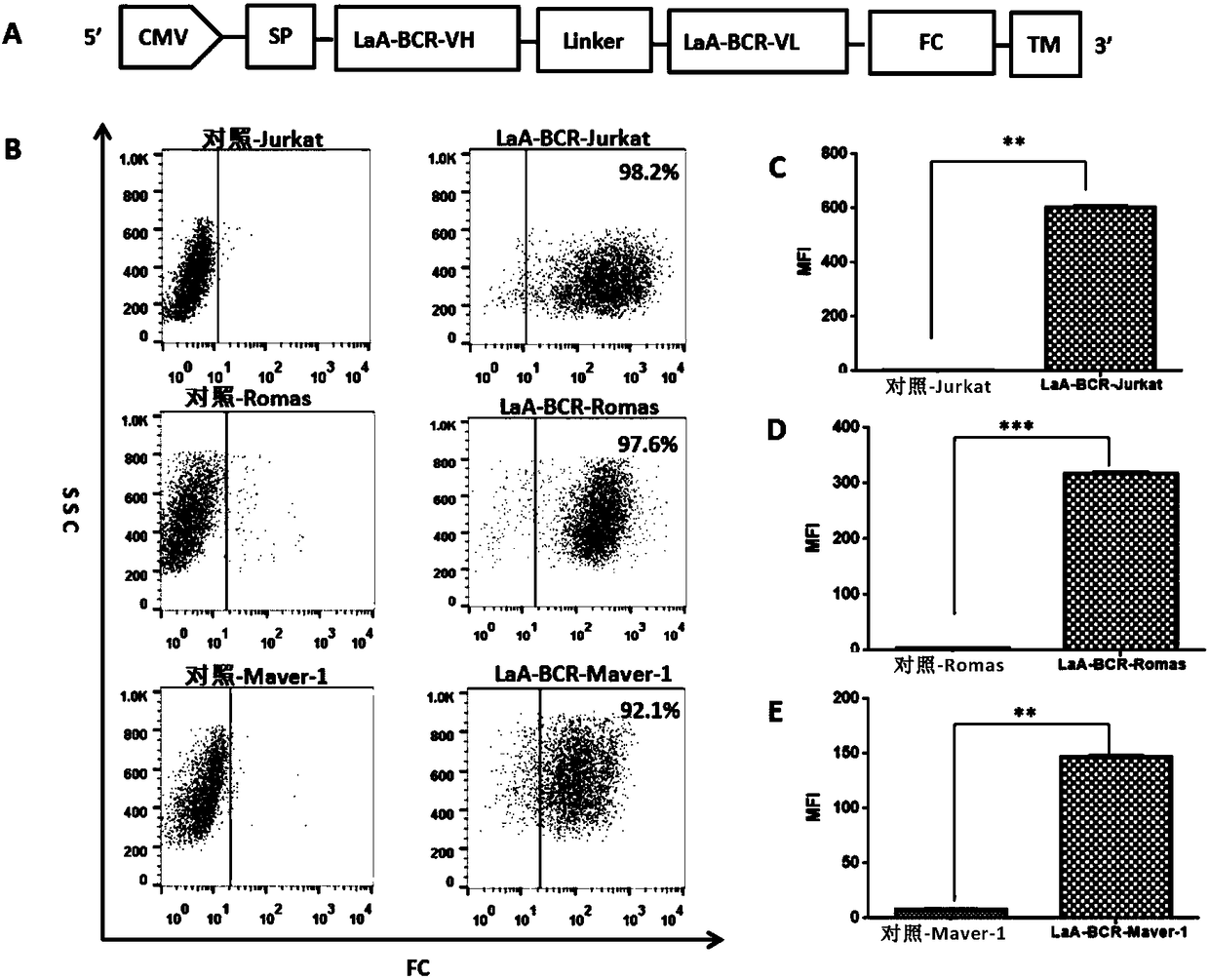 La/single-stranded binding protein (La/SSB) chimera antigen modified NK cell, and preparation method and application thereof