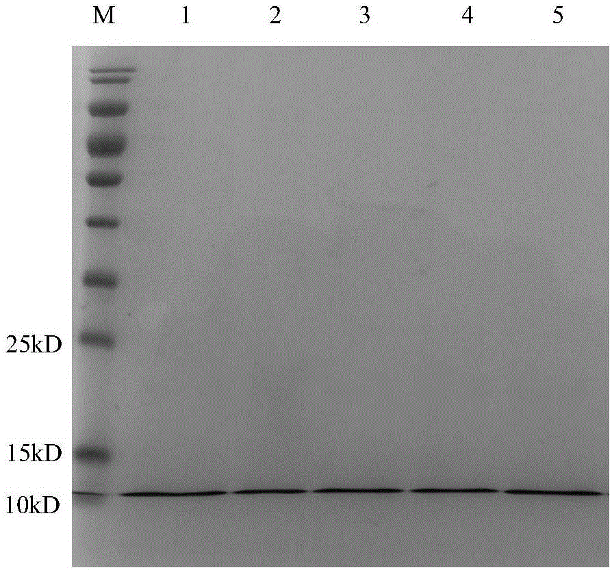 Method for isolating recombinant human nerve growth factor from mammalian cell culture