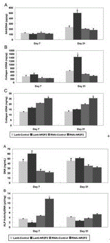 Method for promoting cartilage tissue differentiation of mesenchymal stem cells