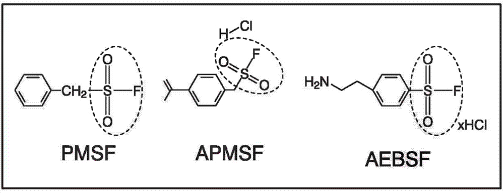 Method for inhibiting protease in biological sample containing pancreatic juice component