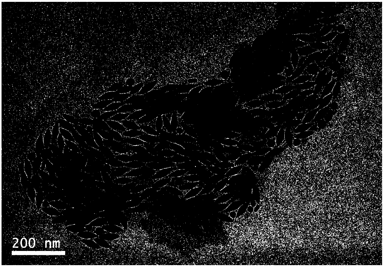 Gold-core silver-shell nanometer composite material and preparation method thereof