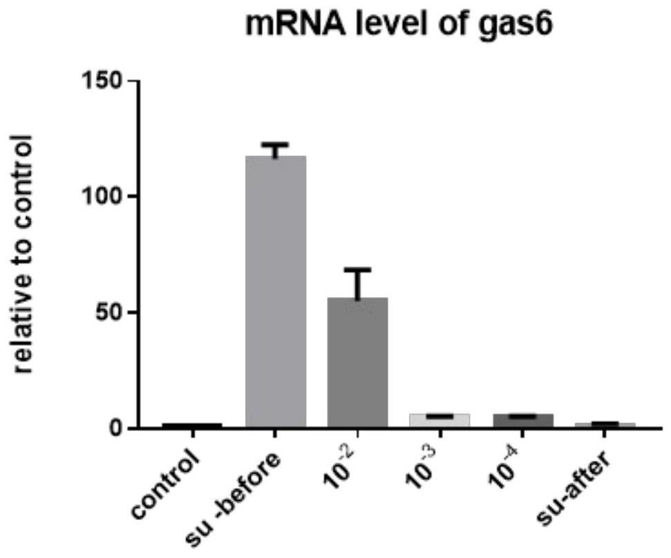 Recombinant gland-related virus AAV-gas6 and application