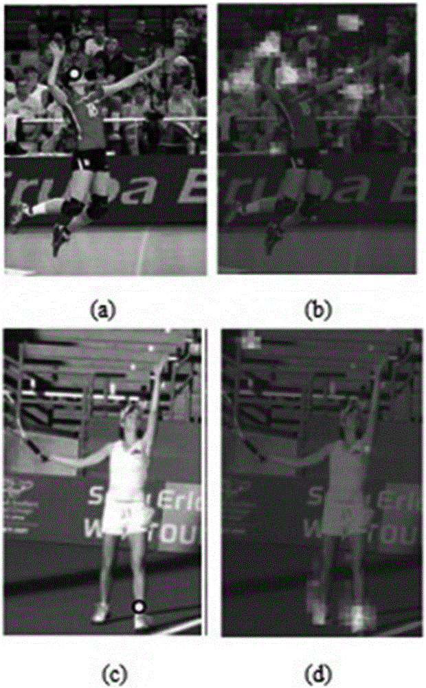 Pose estimation method and device as well as computer system