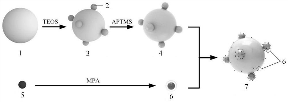 A kind of fluorescent powder quantum dot composite particle and its preparation method and application