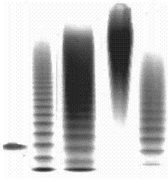 Preparation method of low-molecular-weight heparin