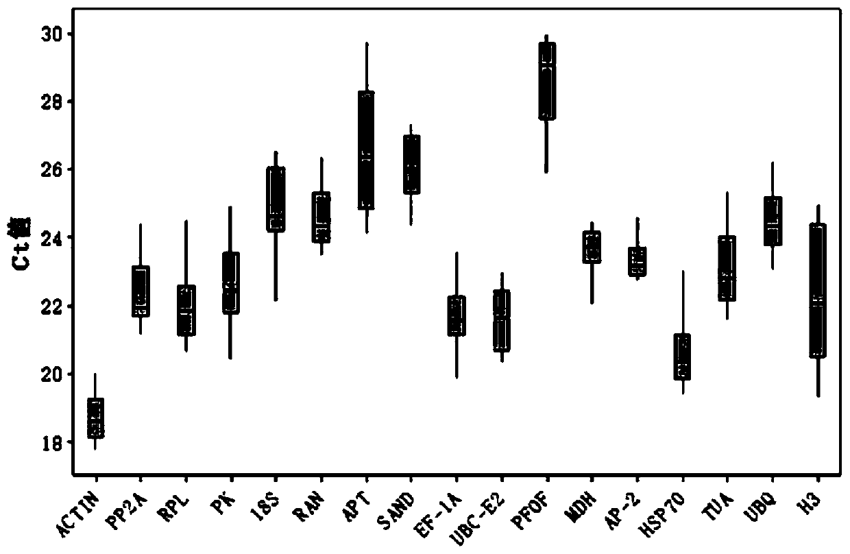 Fluorescent quantitative internal reference genes and their special primers and applications under drought stress in Changshan, Haizhou