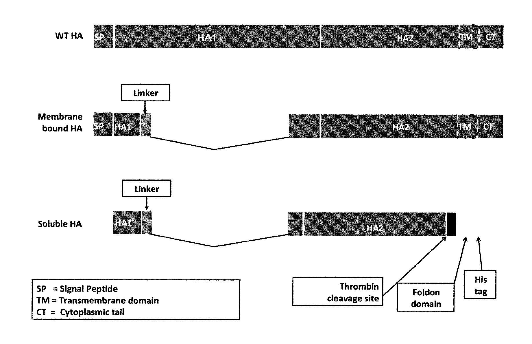 Influenza virus vaccines and uses thereof