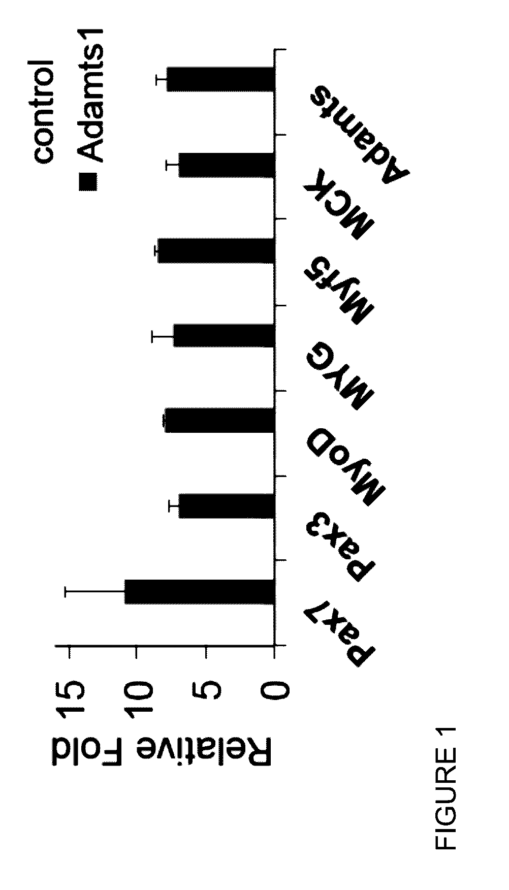 Modulation of muscle and adipocyte distribution and fate