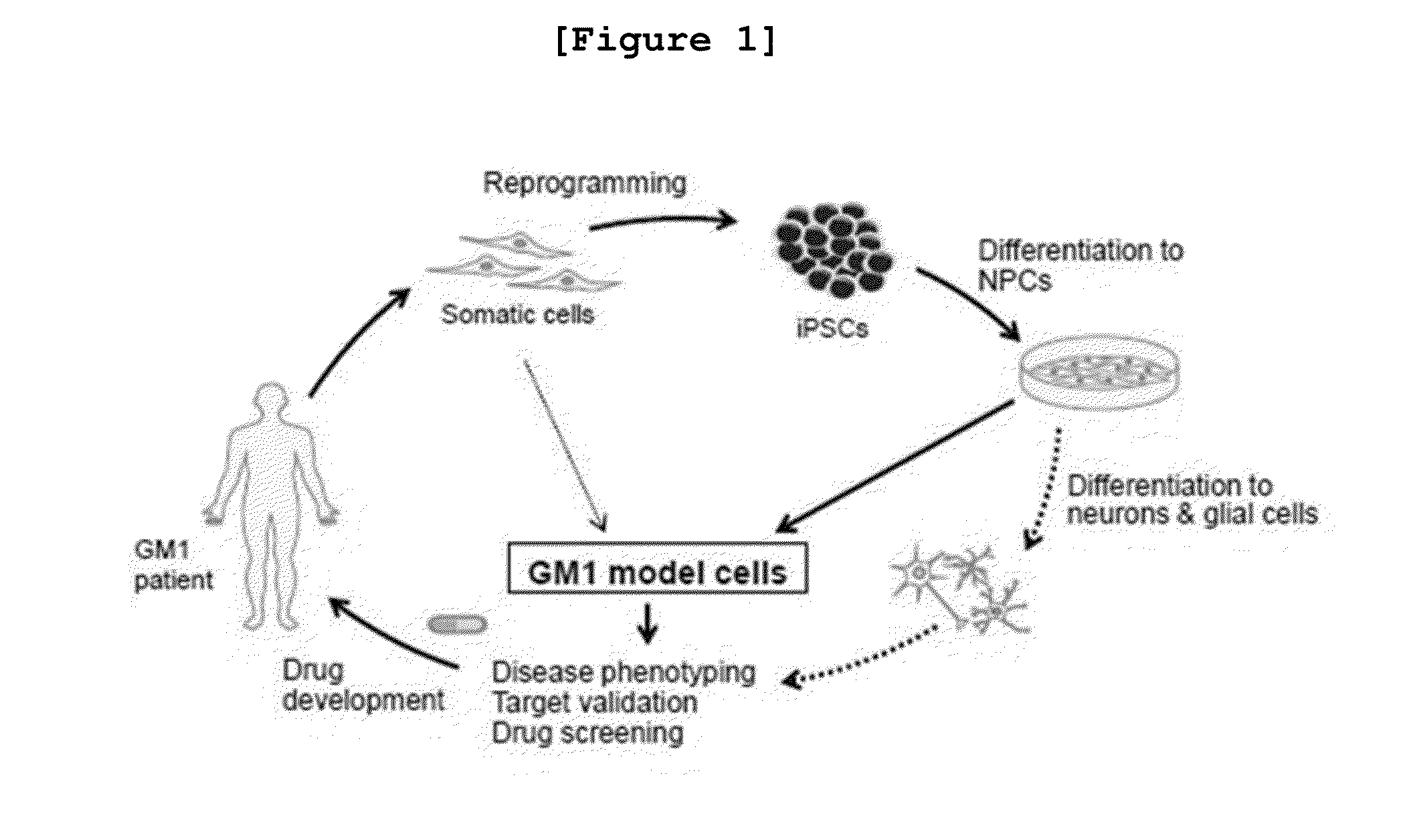 Method for treatment of gm1 gangliosidosis