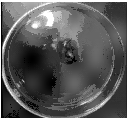 Additive, non-aqueous electrolyte and lithium ion battery