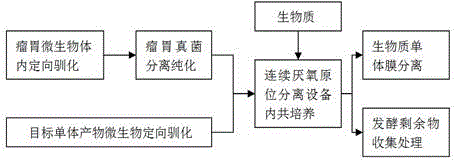 System for preparing biomass monomer through microbial coculture