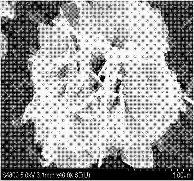 CuxSe/TiO2 nanotube array of p-type semiconductor nano material and preparation method thereof