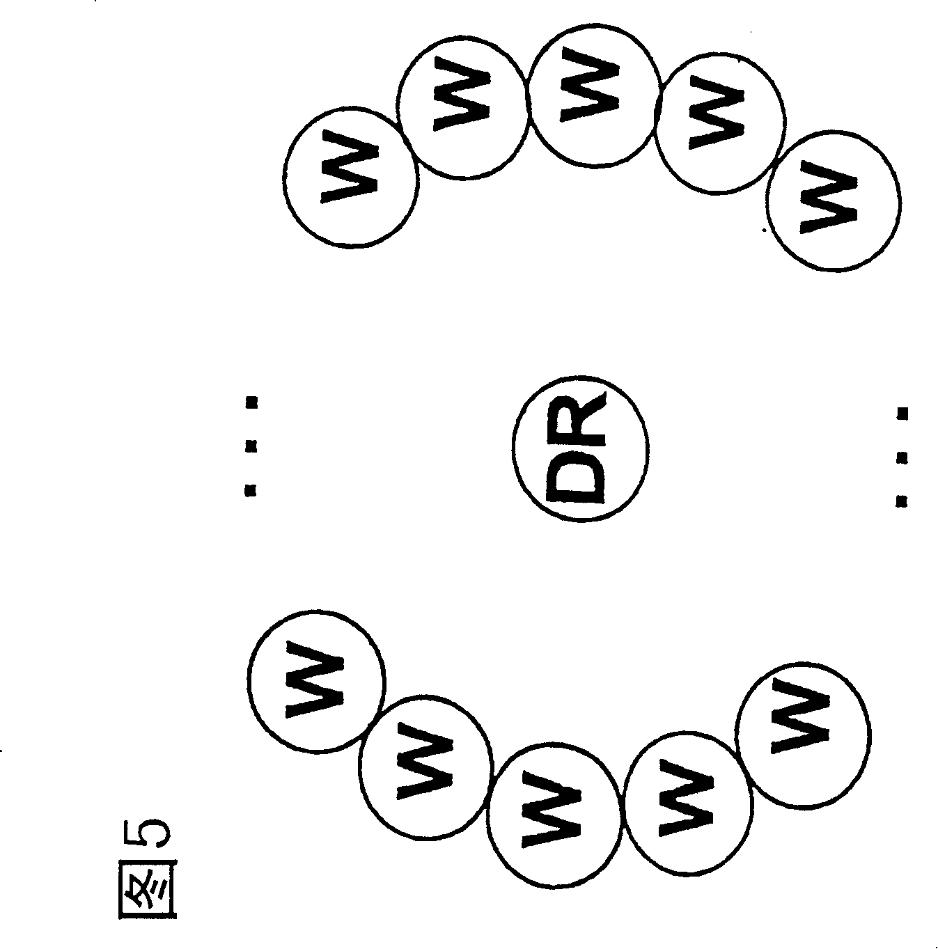 Device for non-invasively detecting the oxygen metabolism in tissues