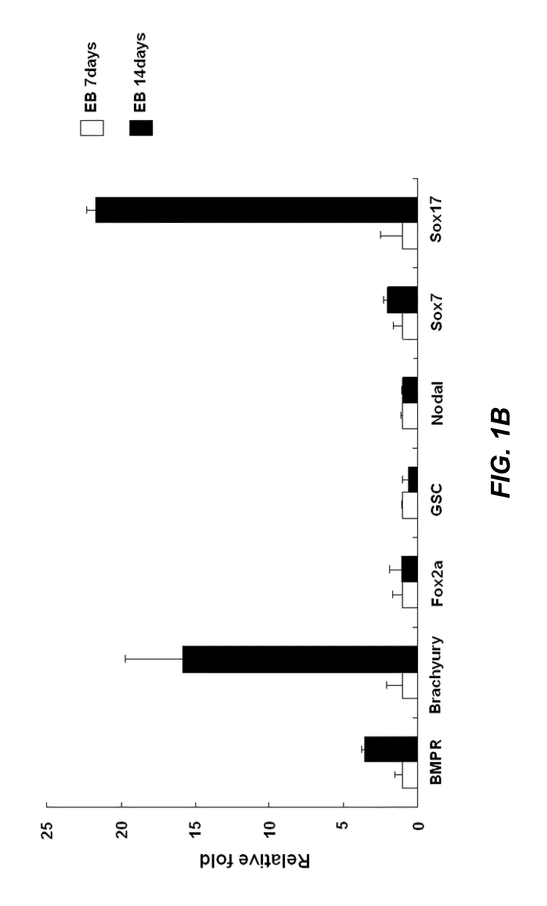 Mesenchymal stem cells produced from human pluripotent stem cells