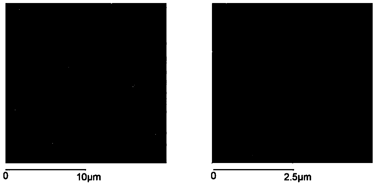 A nanoparticle preparation for treating HPV infection and preparation method thereof