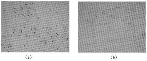 Long-acting antibacterial mildew inhibitor, preparation method thereof, and application of long-acting antibacterial mildew inhibitor in space station environment