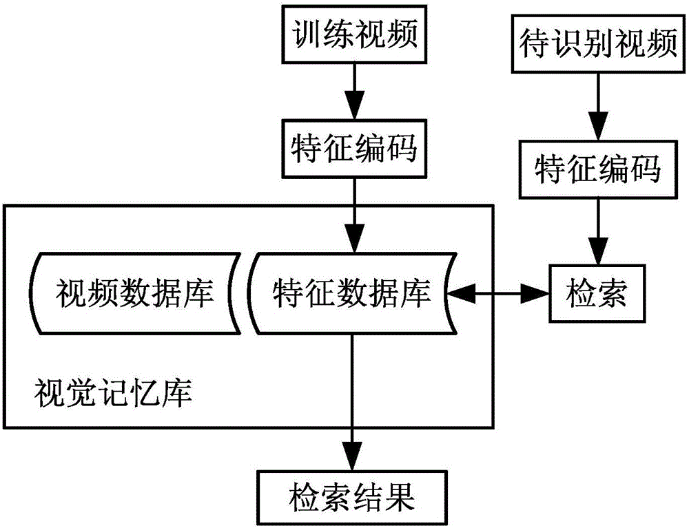 Human brain visual memory principle-based human body action identification method and system