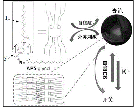 Amphiphilic pillar [5] arene self-assembled vesicle and depolymerization reversibility and controllability control method thereof