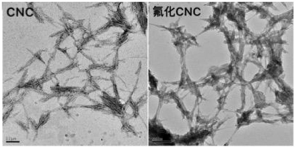 Preparation method of fluorinated cellulose nanocrystalline lubricating grease thickening agent