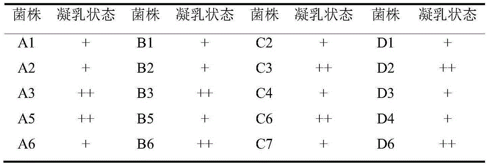 Lactobacillus plantarum Grx16 and application thereof