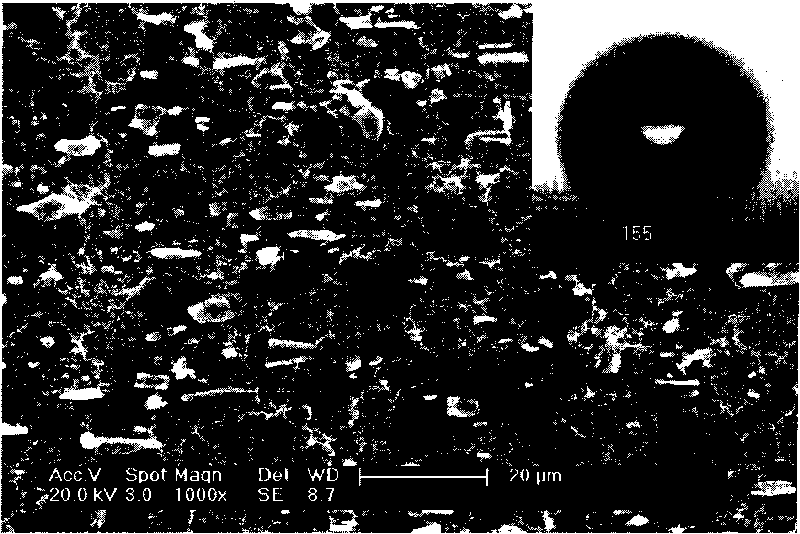 Surface processing method of super-hydrophobic ice-covering-proof aluminum and steel with rough surface