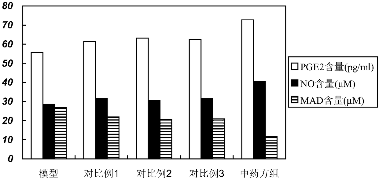 Traditional Chinese medicine composition for treating primary dysmenorrhea and application thereof