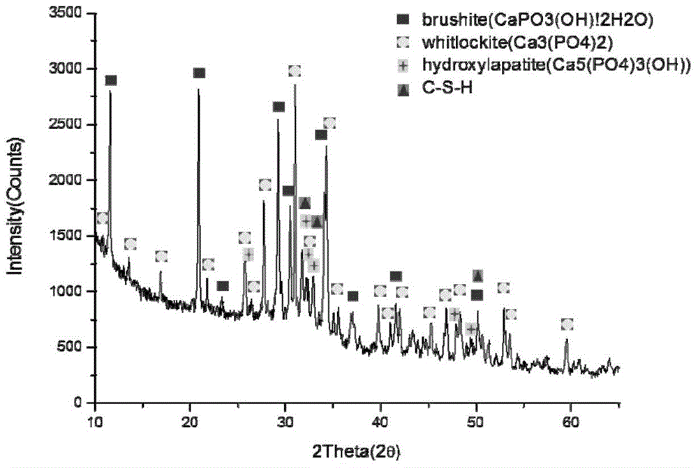 Brushite-calcium silicate/chitosan composite bone cement with rapid and controllable biodegrability