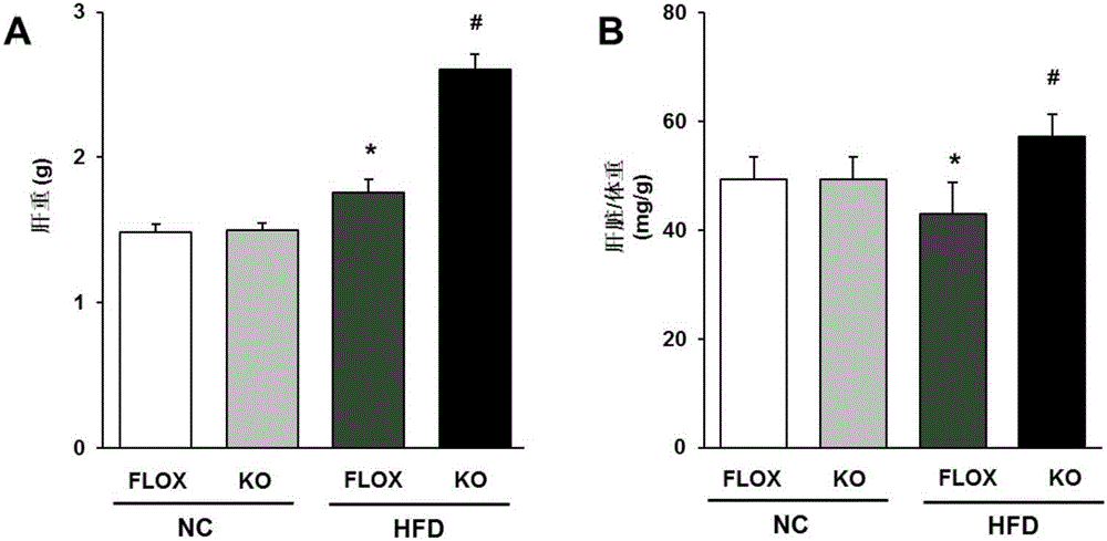 Application of cellular Fas-associated death domain-like interleukin-1 beta-converting enzyme-like inhibitory protein to treatment of fatty livers