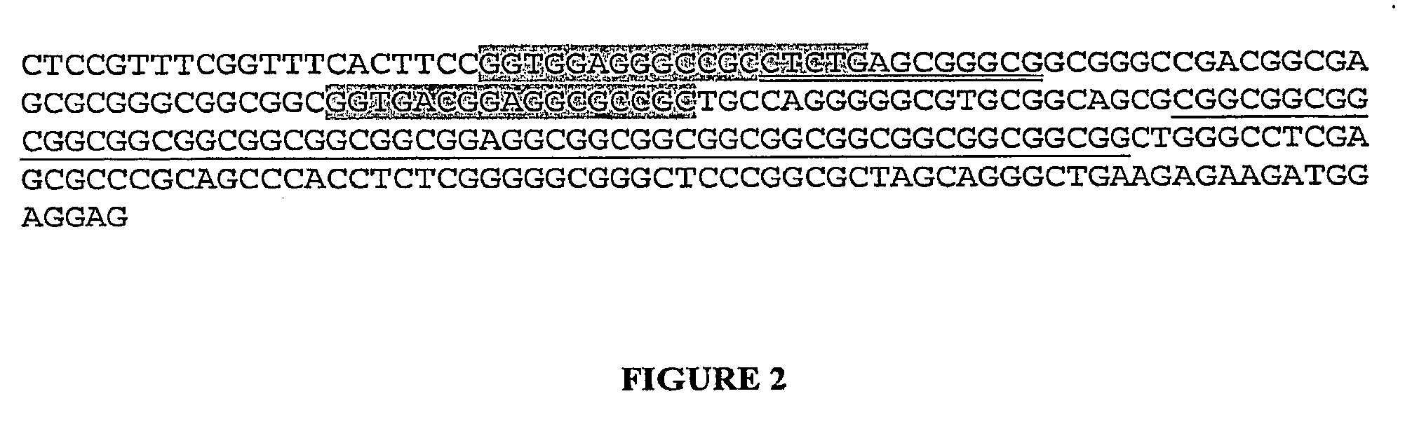 Nucleic acid size detection method