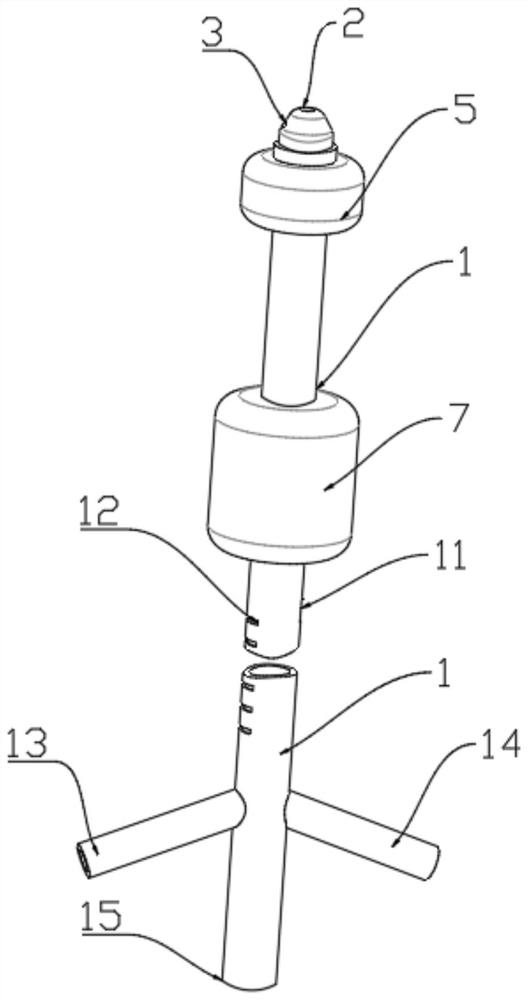 Integrated multifunctional double-balloon catheter