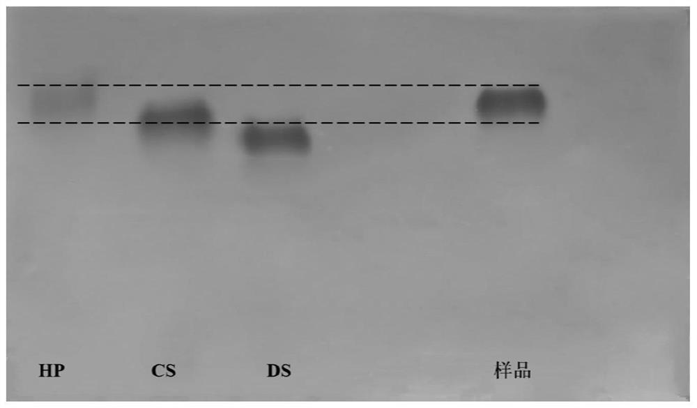 A kind of antithrombotic heparin extracted from mussels of imperial concubine and its preparation method and application