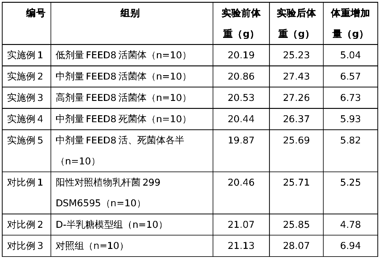 Lactobacillus plantarum and application thereof