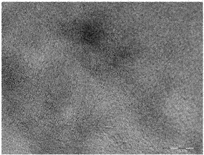 Method for preparing nanometer metal oxide/graphene composite photocatalyst