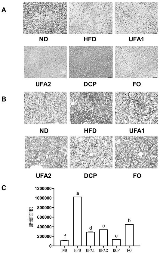 Preparation method of unsaturated fatty acid with weight-losing and lipid-lowering effects