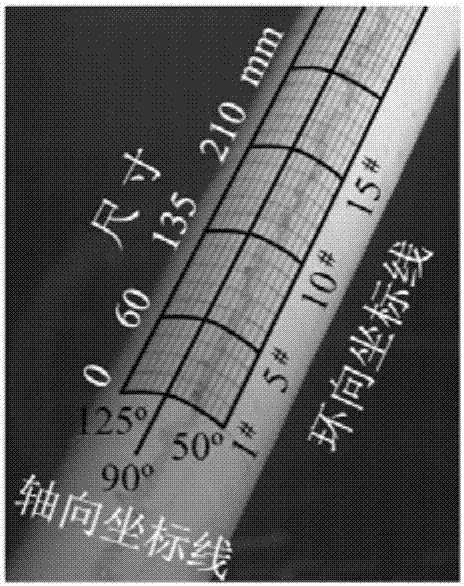 Method for recognizing rain-wind induced vibration waterline of stayed cable based on computer vision