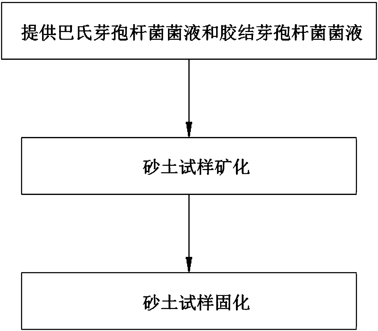 Bacillus pasteurii and bacillus agglutinans combined soil solidification method