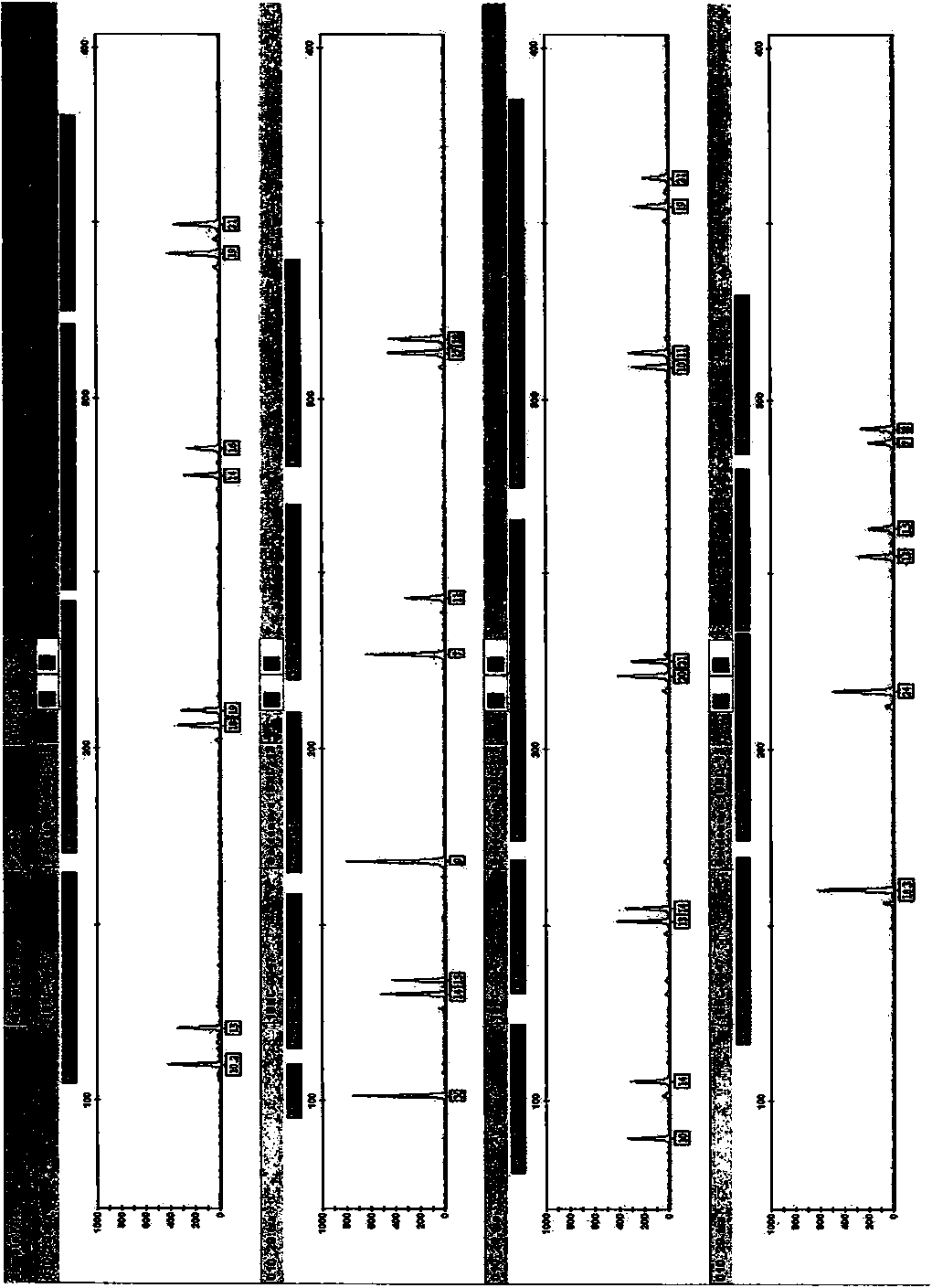 Multiplex amplification kit of 18 short tandem repeats (STR)