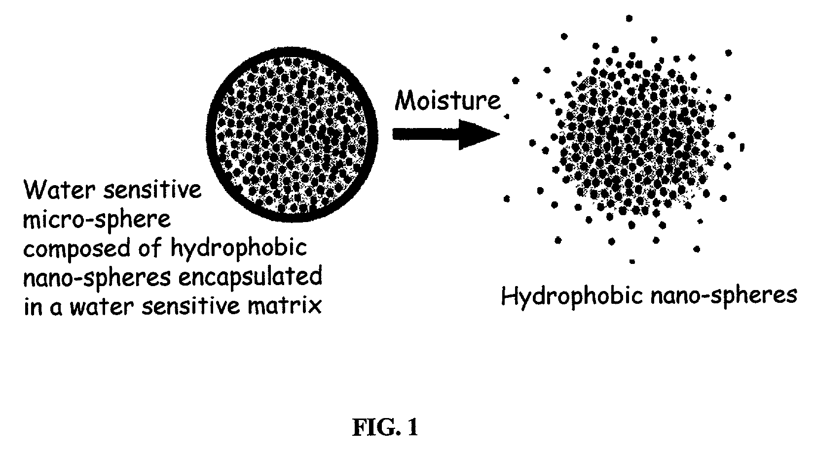 Multi component controlled release system for anhydrous cosmetic compositions