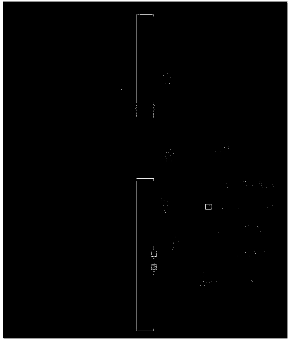 Intelligent anti-collision early warning method for enabling motor vehicle to turn right to pass through non-motorized vehicle lane