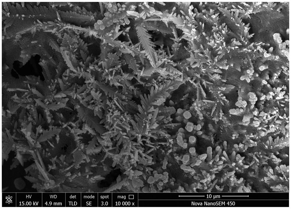 A method for rapid preparation of copper oxide/polytetrafluoroethylene superamphiphobic coating