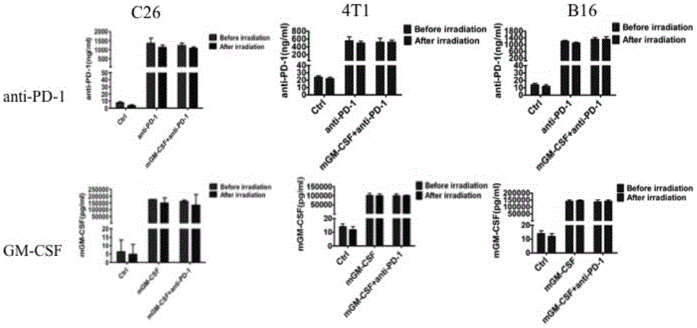 Tumor cell vaccine simultaneously secreting PD-1 neutralizing antibody and GM-CSF factor and preparation method thereof