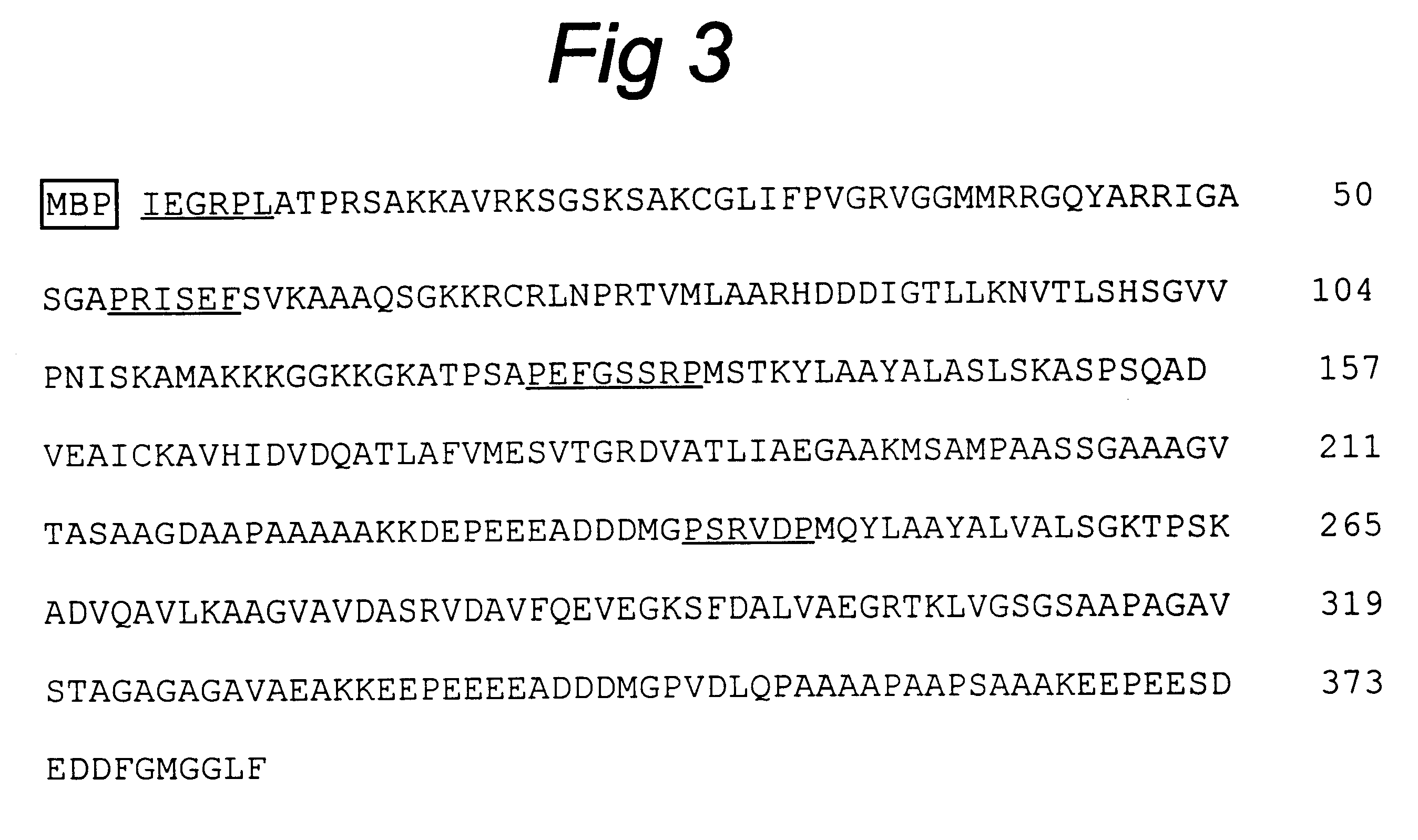 Chimeric gene formed of the DNA sequences that encode the antigenic determinants of four proteins of L. infantum, useful of serologic diagnosis of canine leishmaniosis and protein obtained