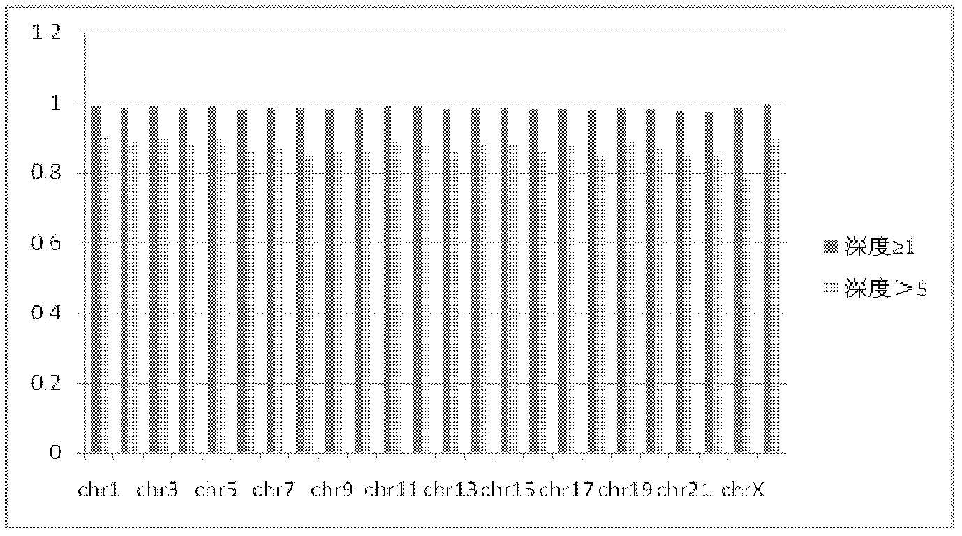 Method for establishing high-throughput sequencing library and application thereof