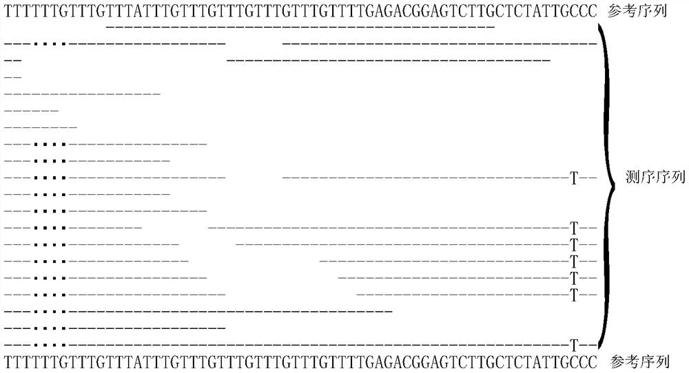 Genome variation detection method, device and terminal