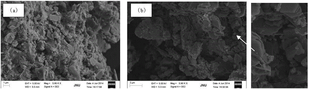 Magnetic modified zeolite material for removing nickel through adsorption, and preparation method and application thereof