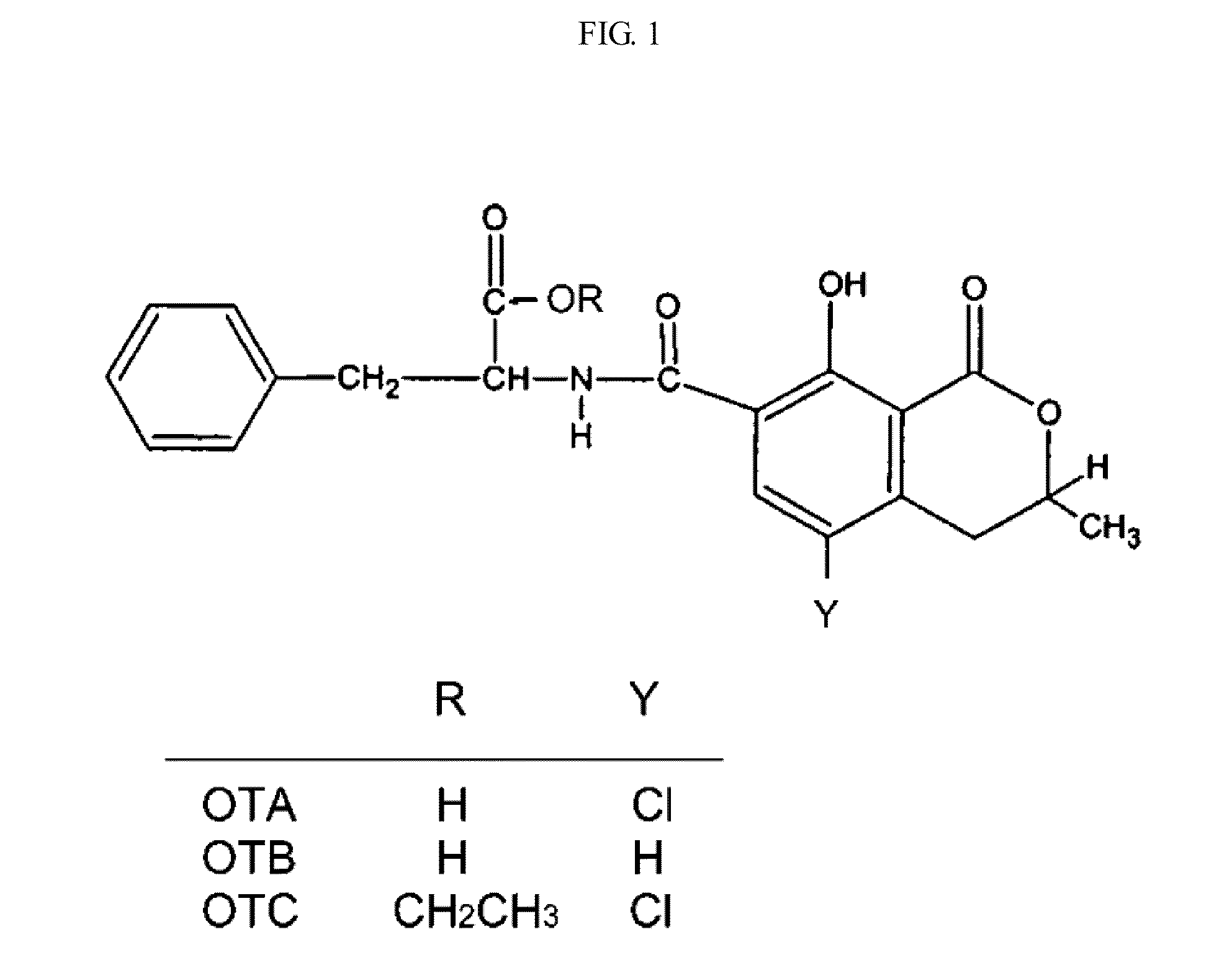 Monoclonal Antibody Specific to Ochratoxin A