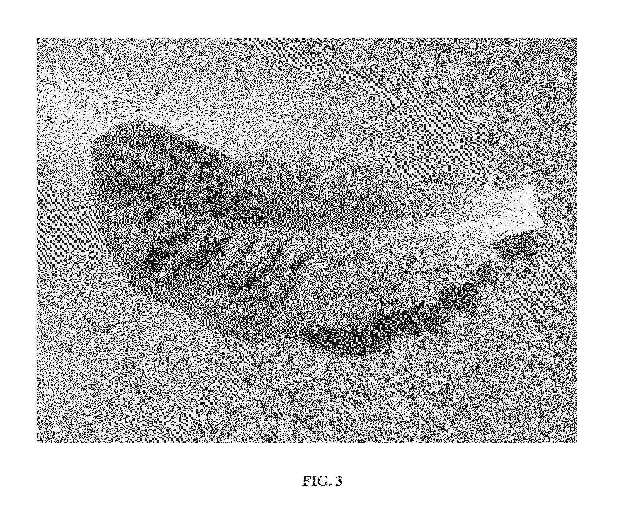 Lettuce variety 41-177 RZ