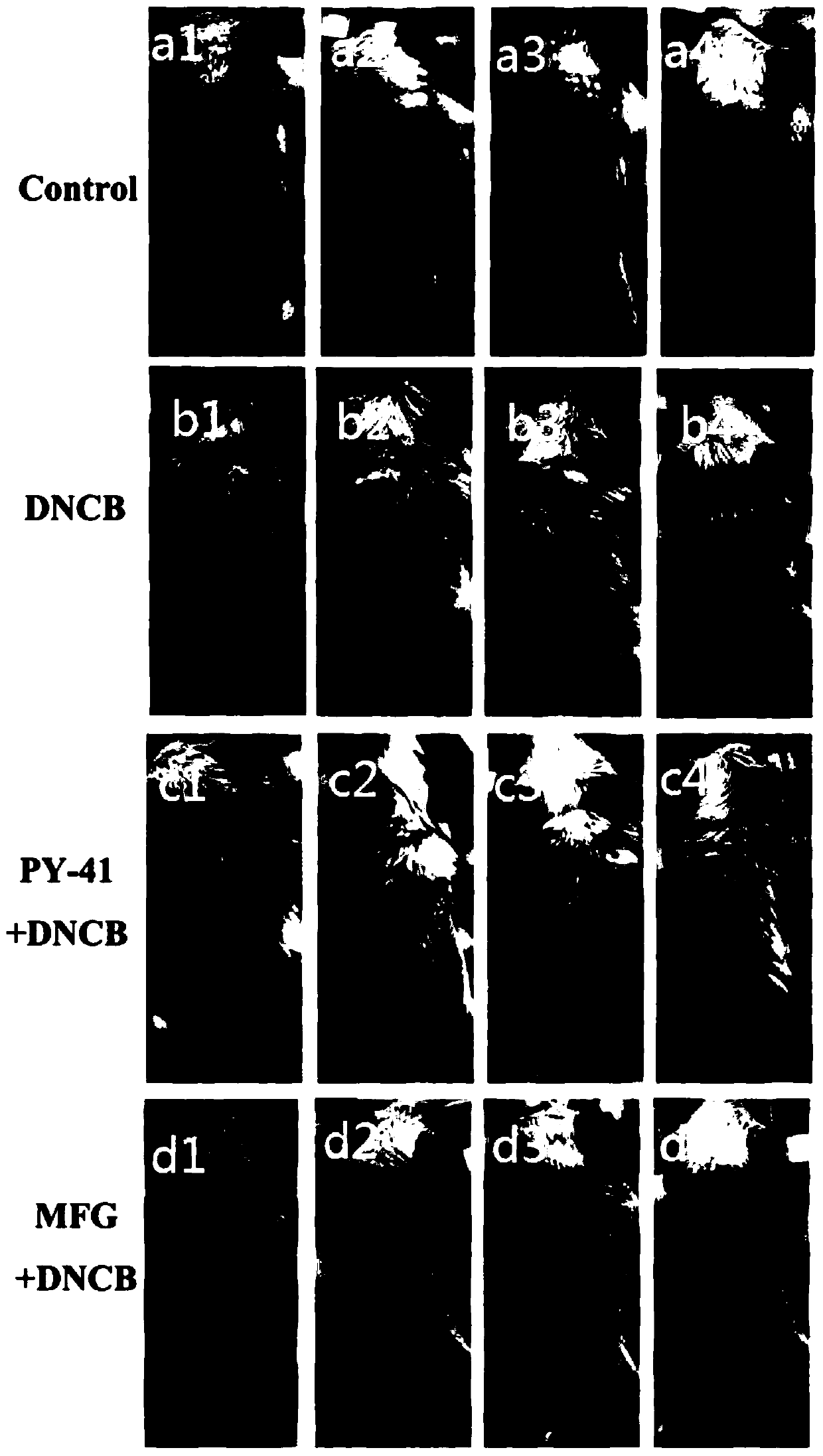 Application of pyrazolidinyl compounds in preparation of preparations used for treating dermatitis